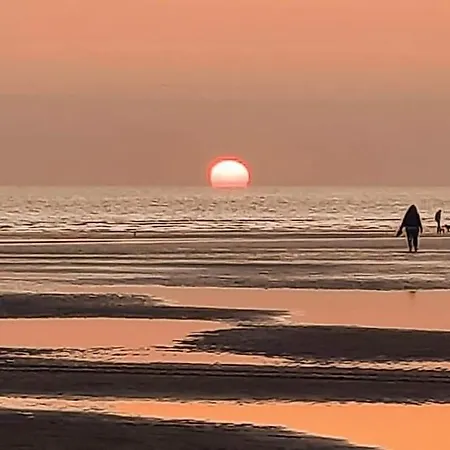 Beauview Brand New For 2023 Wi-fi And Smart Tv * ミロム